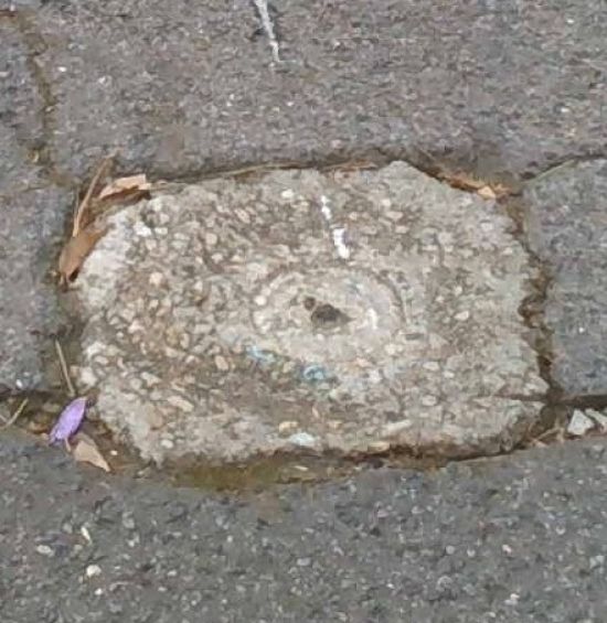 Photo: Metal rods or pins set into the ground or pavement