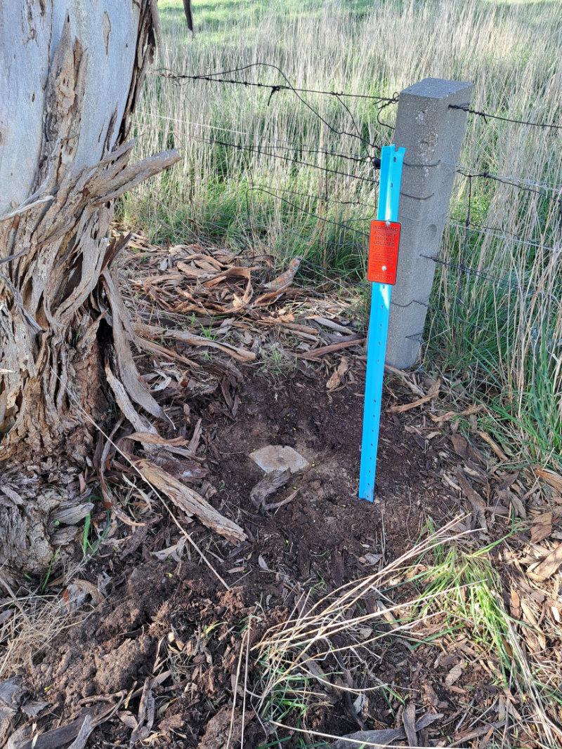 Photo: Blue star droppers with red indicator plates (common in rural areas)
