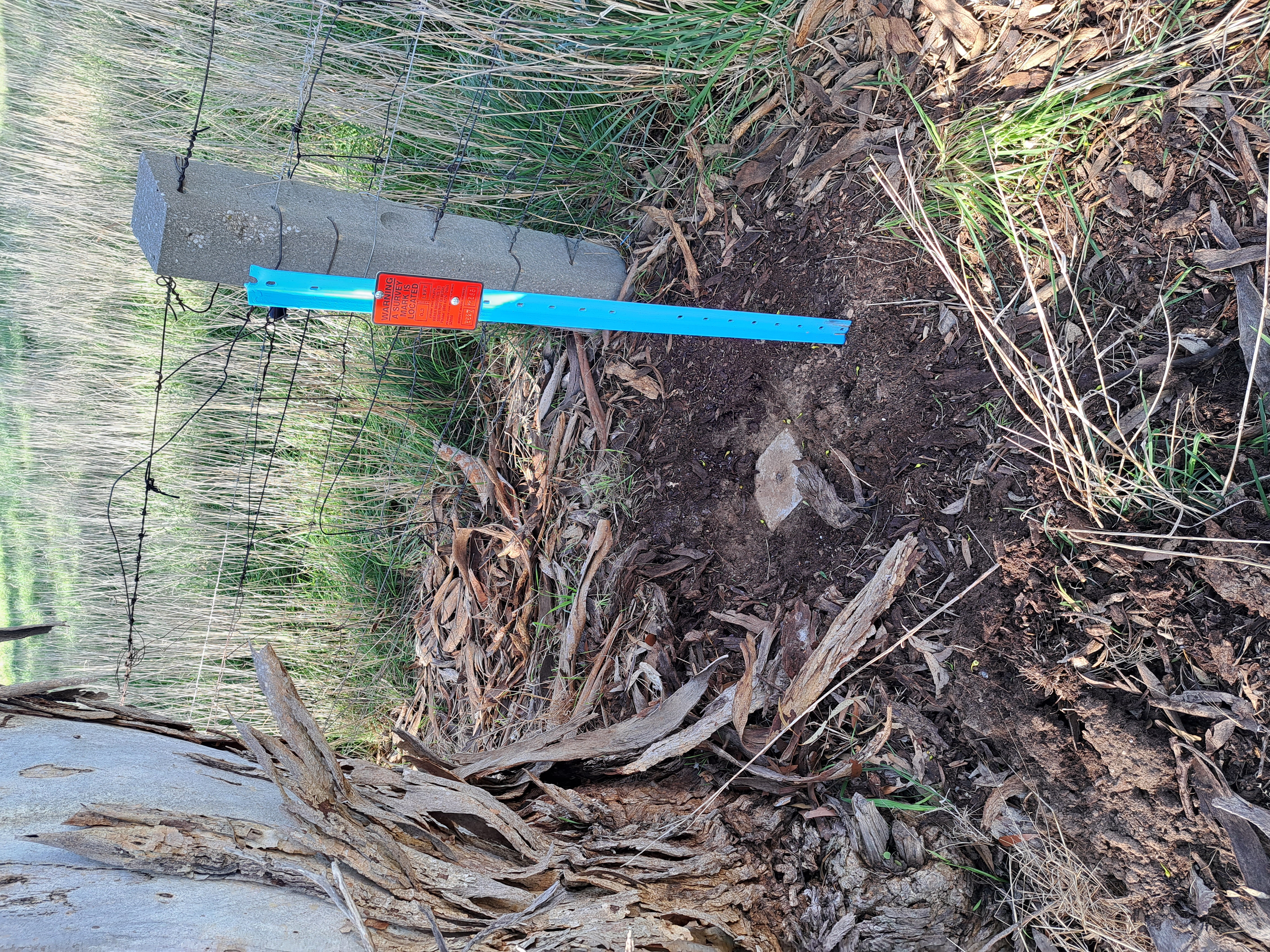 Photo: Blue star droppers with red indicator plates (common in rural areas)